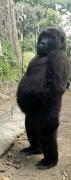 Personal picture