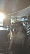 Personal picture