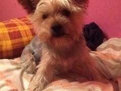 Personal picture