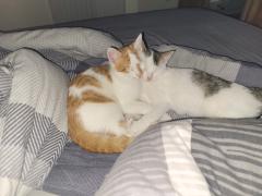 Personal picture