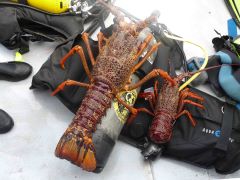 Personal picture